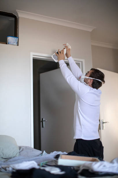 Best Mold Remediation for Healthcare Facilities  in Manhattan, MT